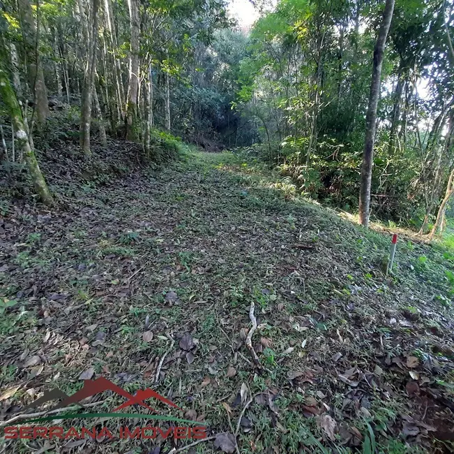 Terreno / Lote à venda, 48540m2 em Nova Petropolis - RS - imagem 9 Foto 9 de Terreno / Lote à venda, 48540m2 em Nova Petropolis - RS