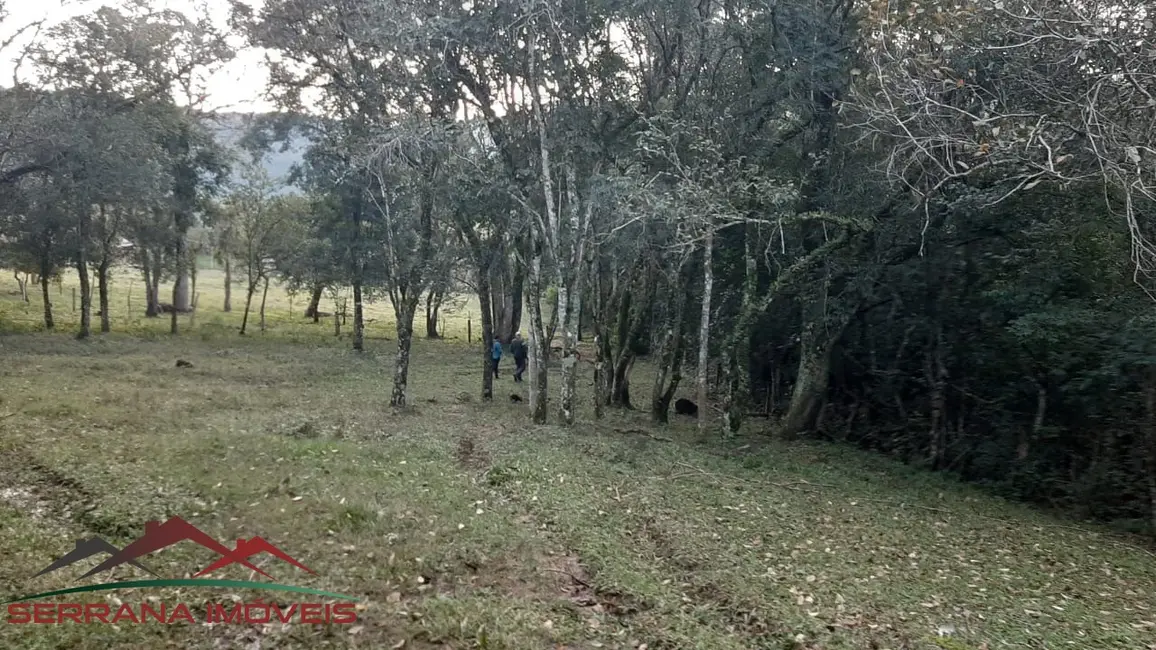 Terreno / Lote à venda, 140000m2 em Nova Petropolis - RS - imagem 3 Foto 3 de Terreno / Lote à venda, 140000m2 em Nova Petropolis - RS