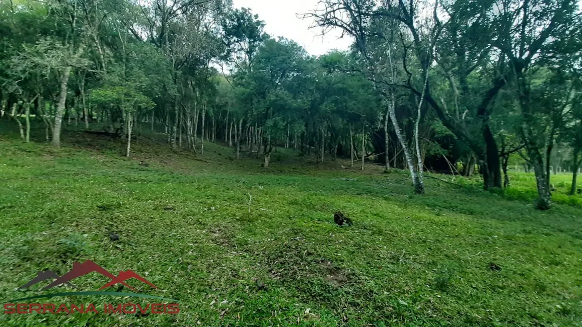 Terreno / Lote à venda, 140000m2 em Nova Petropolis - RS - imagem 5 Foto 5 de Terreno / Lote à venda, 140000m2 em Nova Petropolis - RS