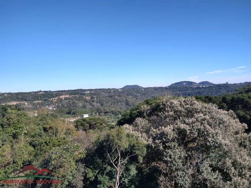 Foto 9 de Apartamento com 2 quartos à venda, 91m2 em Nova Petropolis - RS