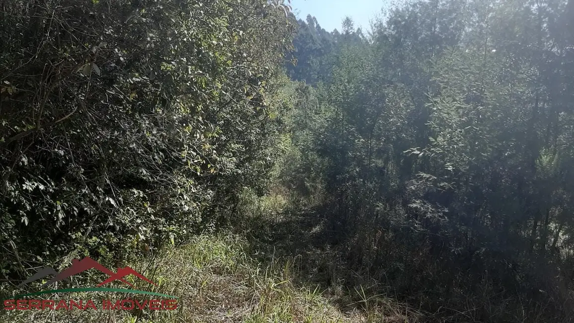 Terreno / Lote à venda, 50000m2 em Nova Petropolis - RS - imagem 5 Foto 5 de Terreno / Lote à venda, 50000m2 em Nova Petropolis - RS