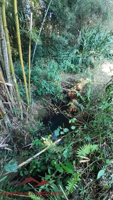 Terreno / Lote à venda, 50000m2 em Nova Petropolis - RS - imagem 3 Foto 3 de Terreno / Lote à venda, 50000m2 em Nova Petropolis - RS