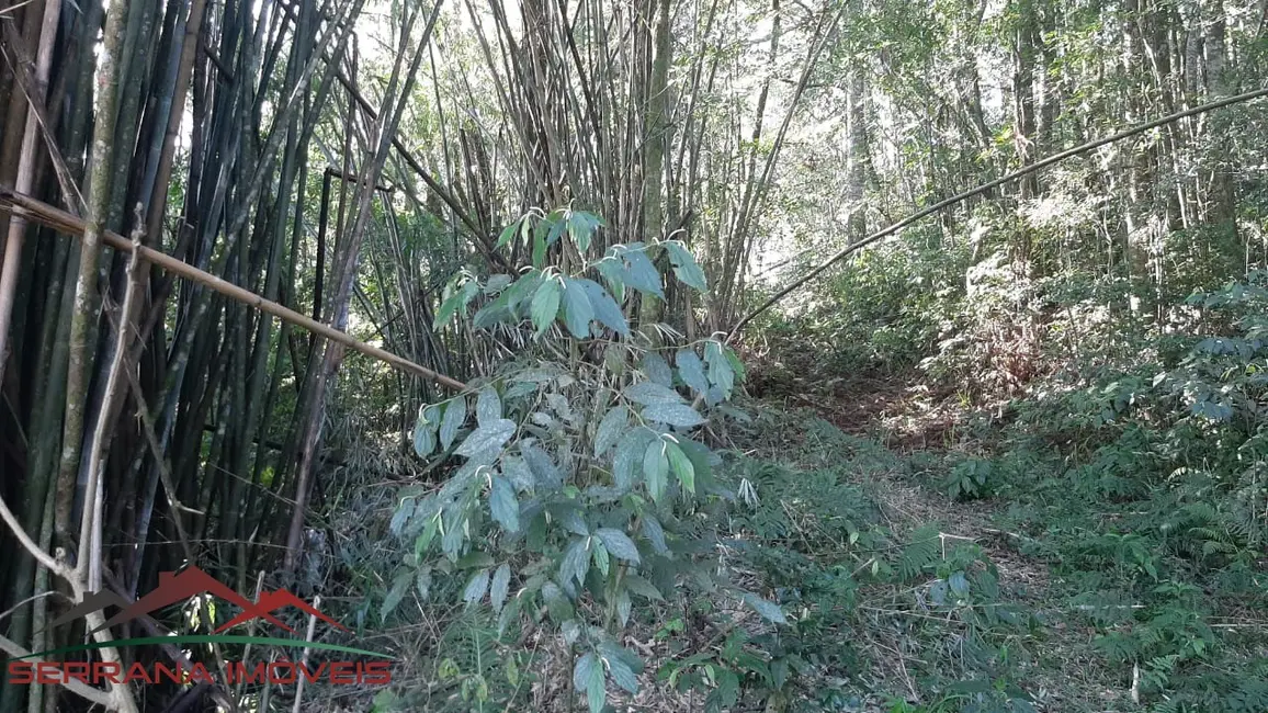 Terreno / Lote à venda, 50000m2 em Nova Petropolis - RS - imagem 6 Foto 6 de Terreno / Lote à venda, 50000m2 em Nova Petropolis - RS