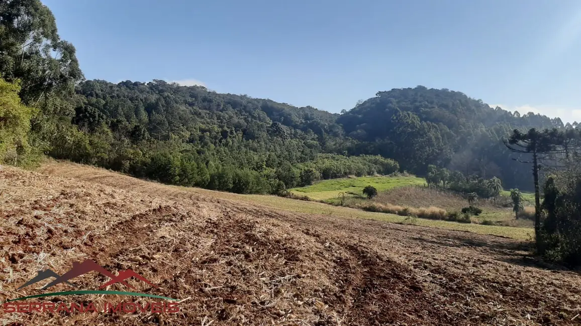 Terreno / Lote à venda, 50000m2 em Nova Petropolis - RS - imagem 8 Foto 8 de Terreno / Lote à venda, 50000m2 em Nova Petropolis - RS