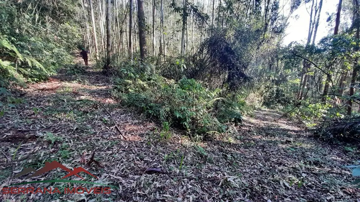 Terreno / Lote à venda, 50000m2 em Nova Petropolis - RS - imagem 4 Foto 4 de Terreno / Lote à venda, 50000m2 em Nova Petropolis - RS