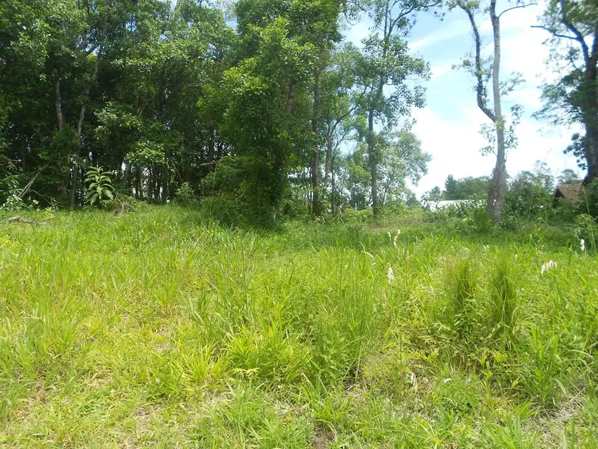 Foto 2 de Terreno / Lote à venda, 456m2 em Nova Petropolis - RS