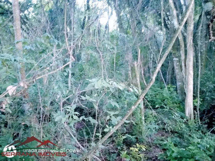 Terreno / Lote à venda, 10170m2 em Nova Petropolis - RS - imagem 4 Foto 4 de Terreno / Lote à venda, 10170m2 em Nova Petropolis - RS