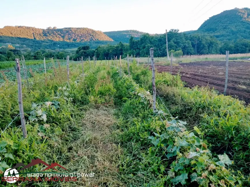 Terreno / Lote à venda, 10170m2 em Nova Petropolis - RS - imagem 7 Foto 7 de Terreno / Lote à venda, 10170m2 em Nova Petropolis - RS