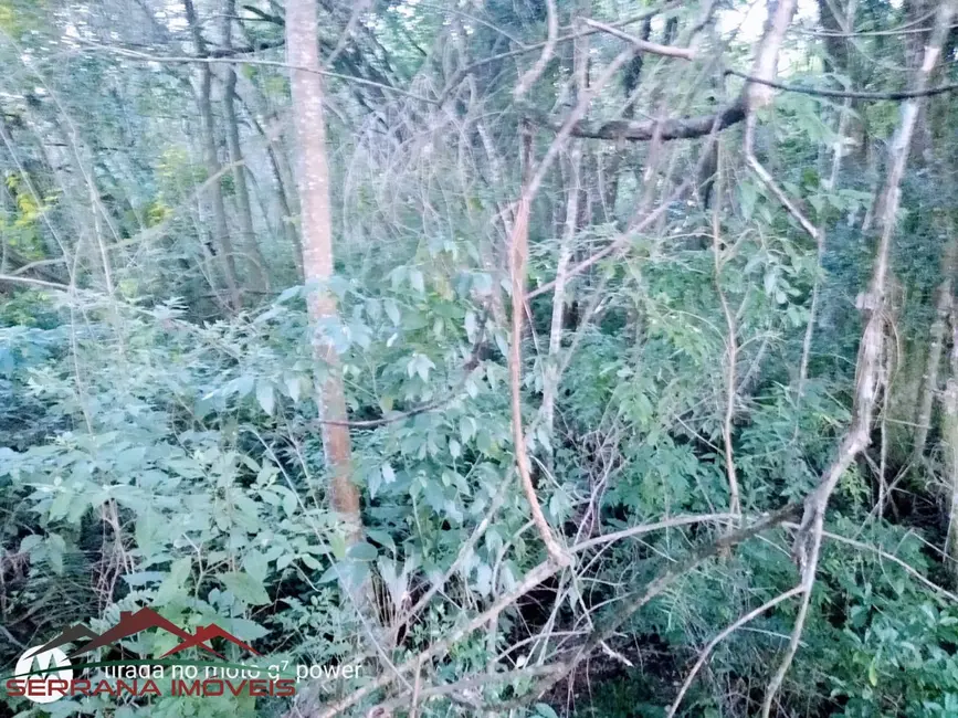 Terreno / Lote à venda, 10170m2 em Nova Petropolis - RS - imagem 9 Foto 9 de Terreno / Lote à venda, 10170m2 em Nova Petropolis - RS