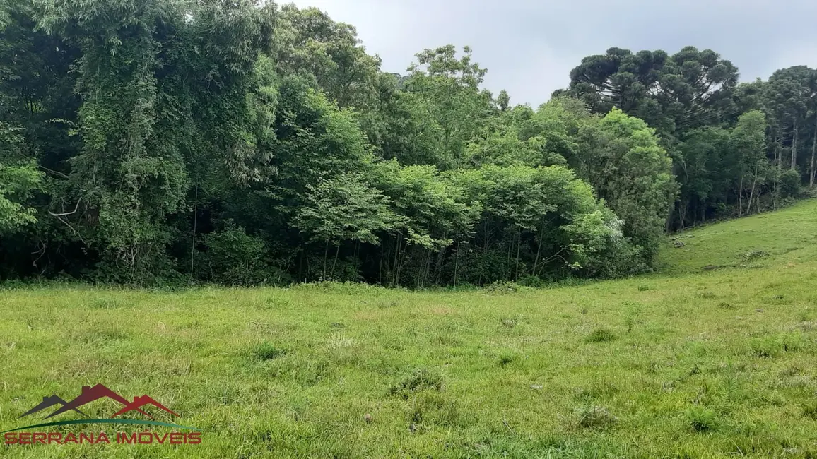 Terreno / Lote à venda, 18000m2 em Nova Petropolis - RS - imagem 8 Foto 8 de Terreno / Lote à venda, 18000m2 em Nova Petropolis - RS