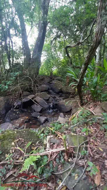 Terreno / Lote à venda, 18000m2 em Nova Petropolis - RS - imagem 9 Foto 9 de Terreno / Lote à venda, 18000m2 em Nova Petropolis - RS