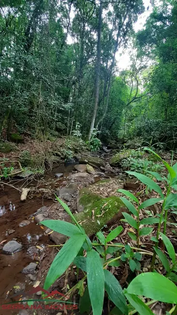 Foto 1 de Terreno / Lote à venda, 18000m2 em Nova Petropolis - RS