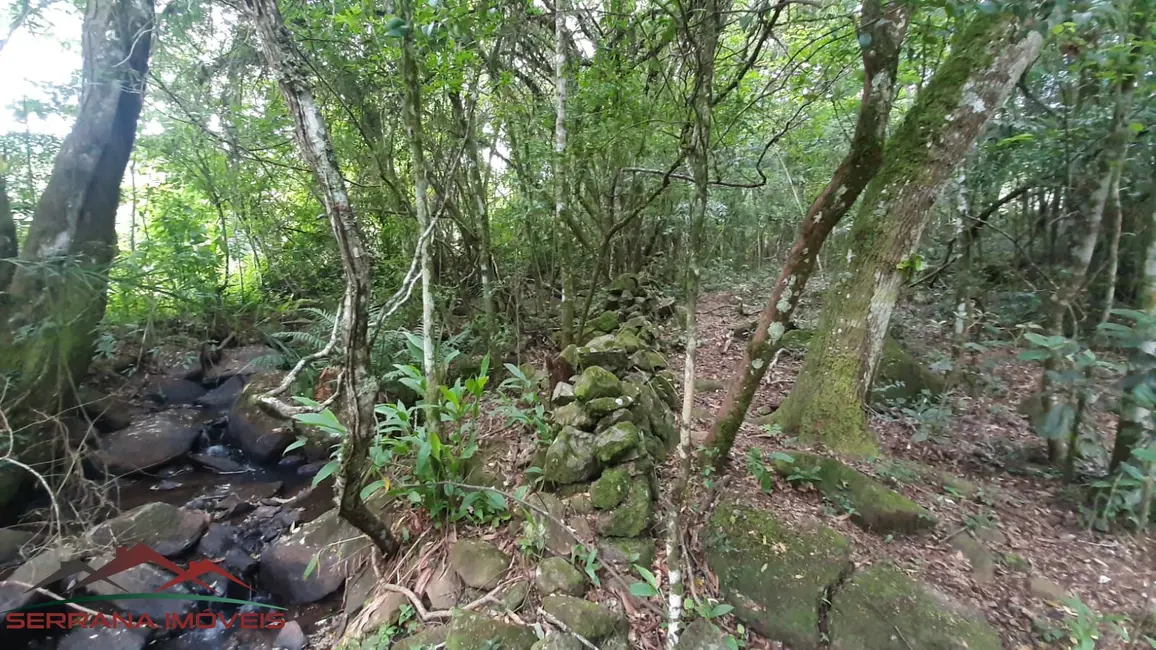 Terreno / Lote à venda, 18000m2 em Nova Petropolis - RS - imagem 5 Foto 5 de Terreno / Lote à venda, 18000m2 em Nova Petropolis - RS