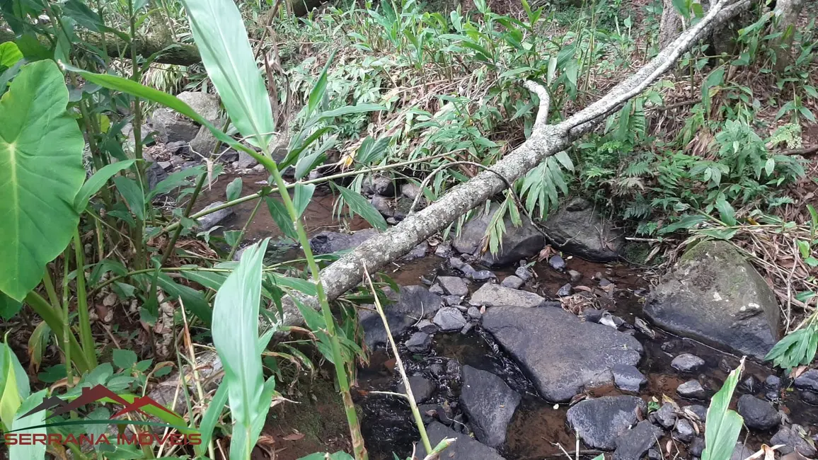 Terreno / Lote à venda, 18000m2 em Nova Petropolis - RS - imagem 7 Foto 7 de Terreno / Lote à venda, 18000m2 em Nova Petropolis - RS