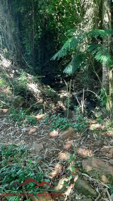 Chácara com 4 quartos à venda, 200m2 em Nova Petropolis - RS - imagem 4 Foto 4 de Chácara com 4 quartos à venda, 200m2 em Nova Petropolis - RS