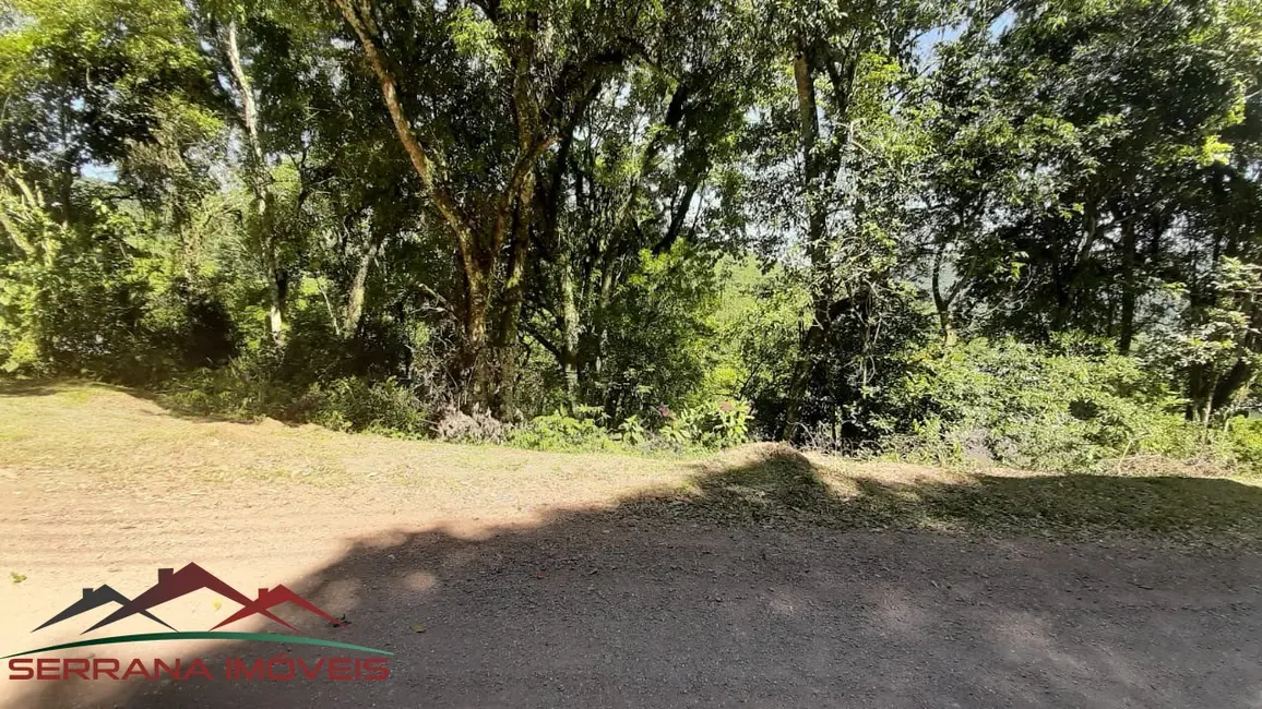 Terreno / Lote à venda, 800m2 em Picada Cafe - RS - imagem 9 Foto 9 de Terreno / Lote à venda, 800m2 em Picada Cafe - RS