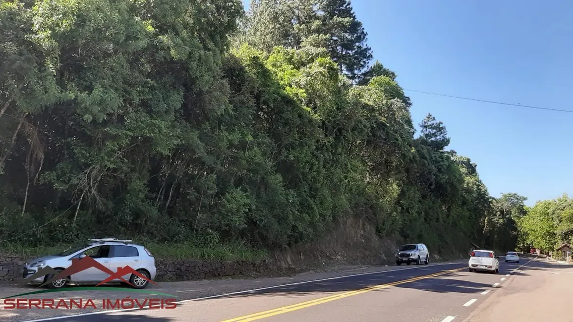 Terreno / Lote à venda, 800m2 em Picada Cafe - RS - imagem 7 Foto 7 de Terreno / Lote à venda, 800m2 em Picada Cafe - RS