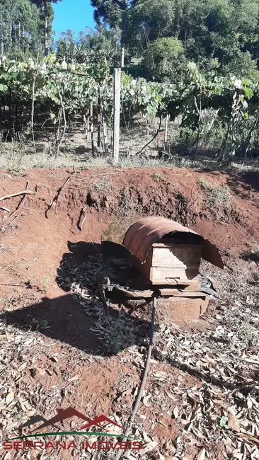 Chácara com 2 quartos à venda, 41000m2 em Picada Cafe - RS - imagem 8 Foto 8 de Chácara com 2 quartos à venda, 41000m2 em Picada Cafe - RS