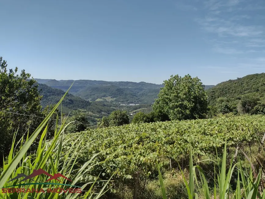 Chácara com 2 quartos à venda, 41000m2 em Picada Cafe - RS - imagem 4 Foto 4 de Chácara com 2 quartos à venda, 41000m2 em Picada Cafe - RS