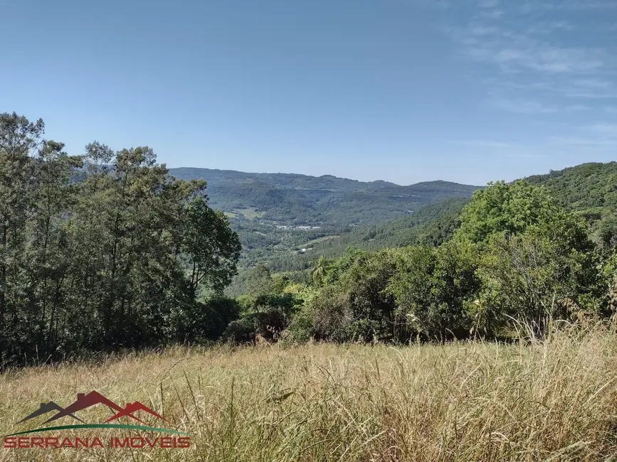 Chácara com 2 quartos à venda, 41000m2 em Picada Cafe - RS - imagem 3 Foto 3 de Chácara com 2 quartos à venda, 41000m2 em Picada Cafe - RS