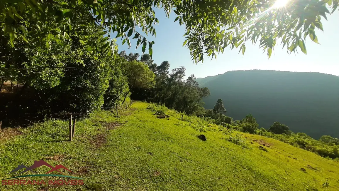 Chácara com 2 quartos à venda, 41000m2 em Picada Cafe - RS - imagem 5 Foto 5 de Chácara com 2 quartos à venda, 41000m2 em Picada Cafe - RS