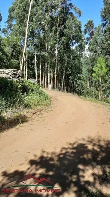 Terreno / Lote à venda, 29000m2 em Picada Cafe - RS - imagem 1 Foto 1 de Terreno / Lote à venda, 29000m2 em Picada Cafe - RS