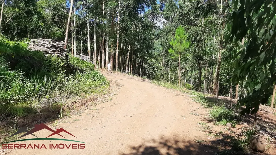 Terreno / Lote à venda, 29000m2 em Picada Cafe - RS - imagem 9 Foto 9 de Terreno / Lote à venda, 29000m2 em Picada Cafe - RS