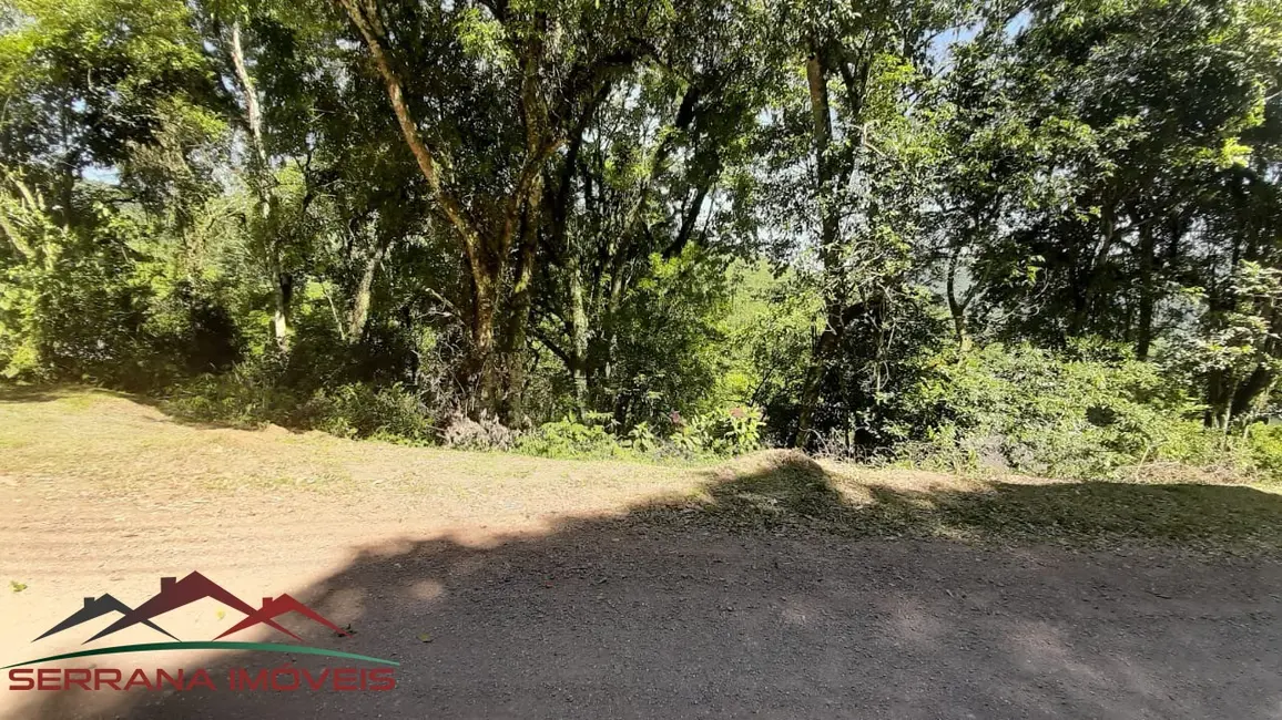 Terreno / Lote à venda, 29000m2 em Picada Cafe - RS - imagem 7 Foto 7 de Terreno / Lote à venda, 29000m2 em Picada Cafe - RS