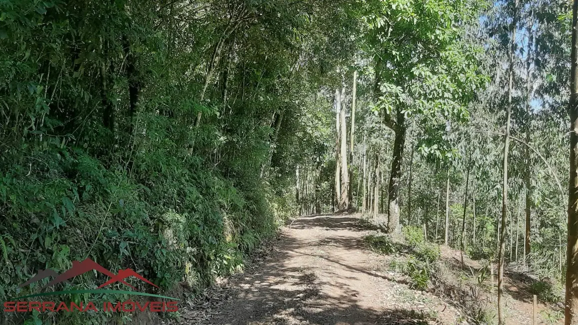 Terreno / Lote à venda, 29000m2 em Picada Cafe - RS - imagem 5 Foto 5 de Terreno / Lote à venda, 29000m2 em Picada Cafe - RS