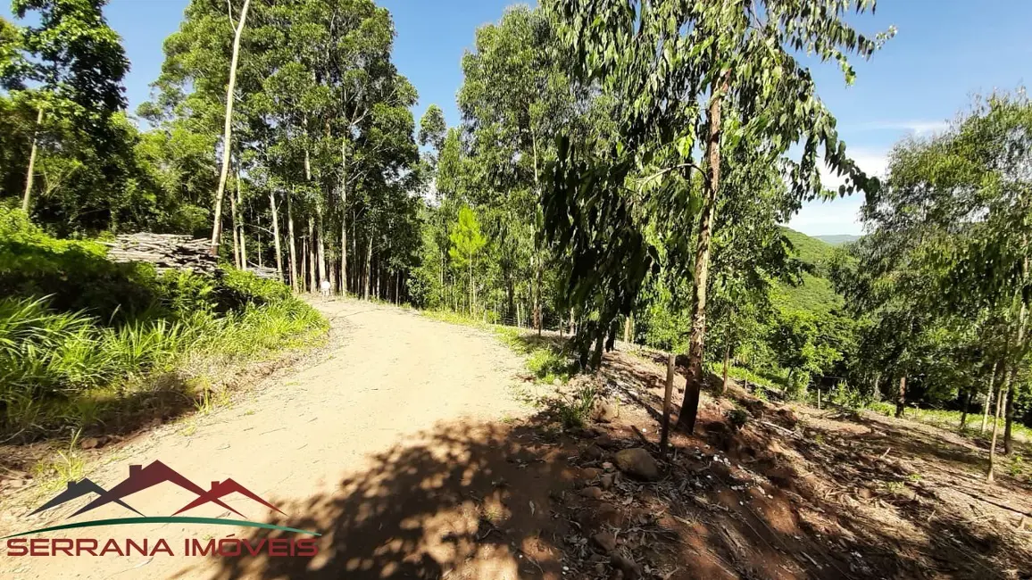 Terreno / Lote à venda, 29000m2 em Picada Cafe - RS - imagem 8 Foto 8 de Terreno / Lote à venda, 29000m2 em Picada Cafe - RS