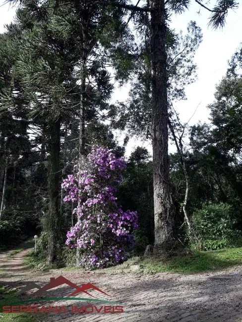 Chácara com 6 quartos à venda, 210m2 em Nova Petropolis - RS - imagem 2 Foto 2 de Chácara com 6 quartos à venda, 210m2 em Nova Petropolis - RS