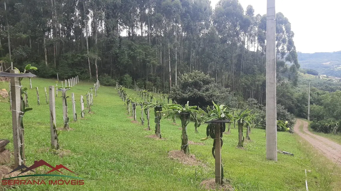 Chácara com 4 quartos à venda, 200m2 em Nova Petropolis - RS - imagem 4 Foto 4 de Chácara com 4 quartos à venda, 200m2 em Nova Petropolis - RS