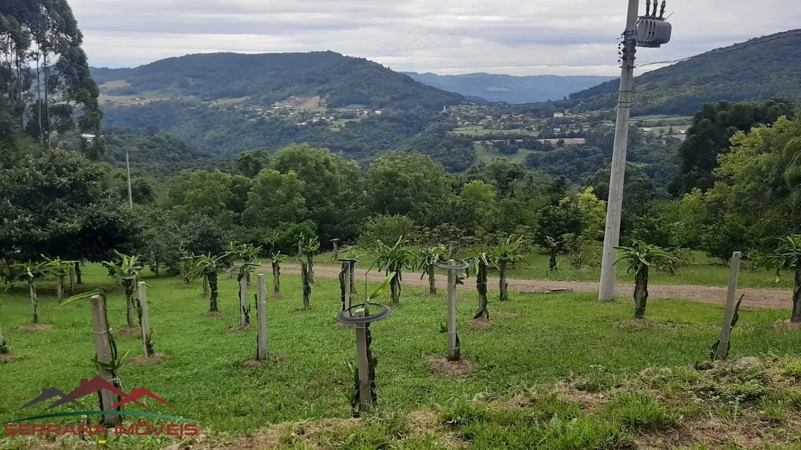 Foto 1 de Chácara com 4 quartos à venda, 200m2 em Nova Petropolis - RS
