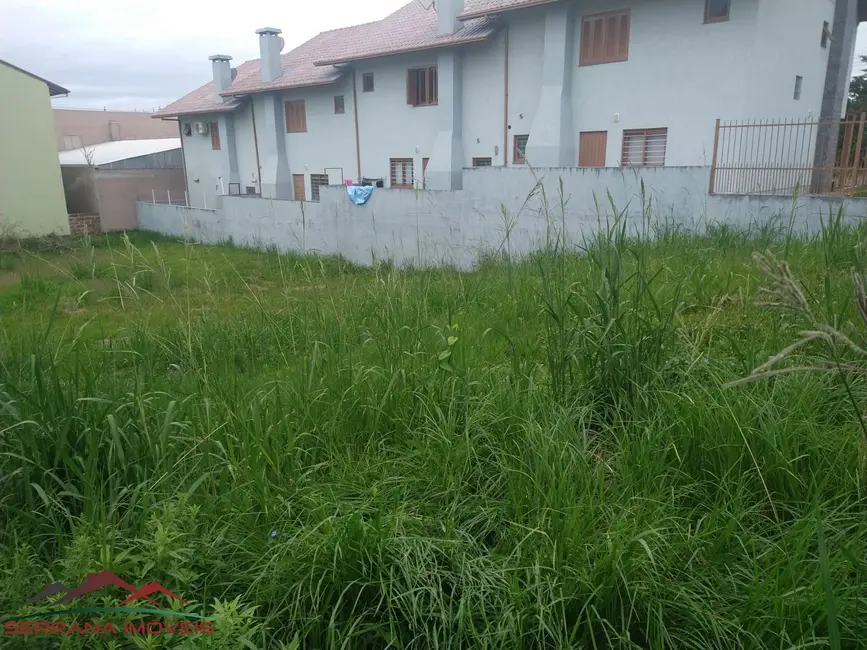 Terreno / Lote à venda, 500m2 em Nova Petropolis - RS - imagem 3 Foto 3 de Terreno / Lote à venda, 500m2 em Nova Petropolis - RS