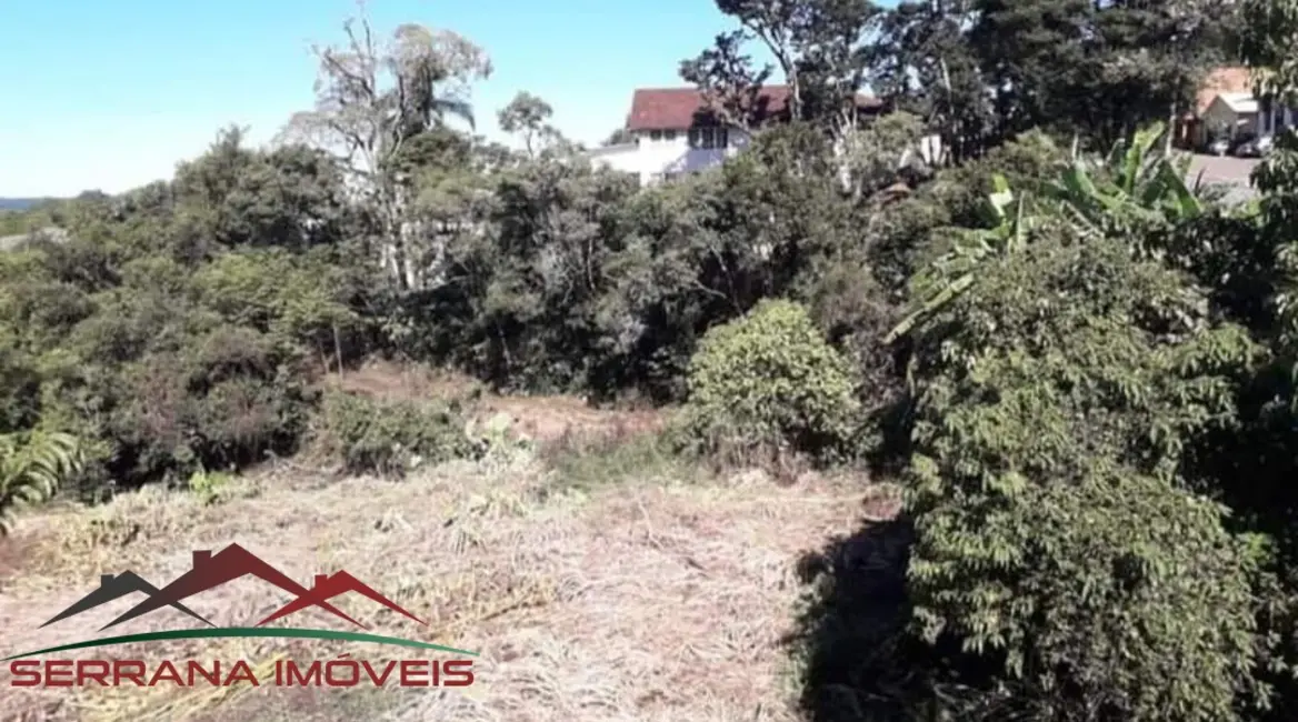 Foto 2 de Terreno / Lote à venda, 7500m2 em Nova Petropolis - RS