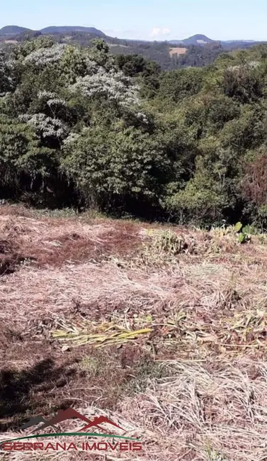 Foto 7 de Terreno / Lote à venda, 7500m2 em Nova Petropolis - RS