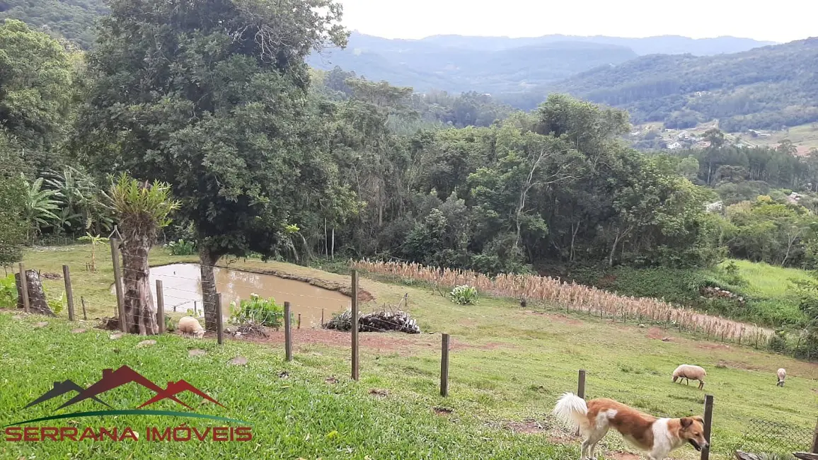 Chácara com 2 quartos à venda, 6000m2 em Picada Cafe - RS - imagem 9 Foto 9 de Chácara com 2 quartos à venda, 6000m2 em Picada Cafe - RS