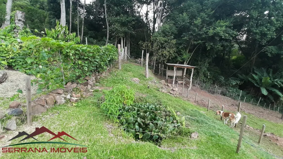 Chácara com 2 quartos à venda, 6000m2 em Picada Cafe - RS - imagem 3 Foto 3 de Chácara com 2 quartos à venda, 6000m2 em Picada Cafe - RS