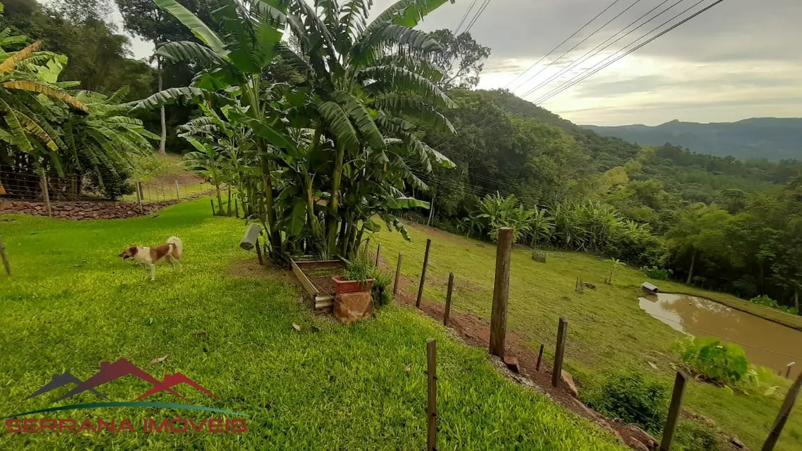 Chácara com 2 quartos à venda, 6000m2 em Picada Cafe - RS - imagem 8 Foto 8 de Chácara com 2 quartos à venda, 6000m2 em Picada Cafe - RS