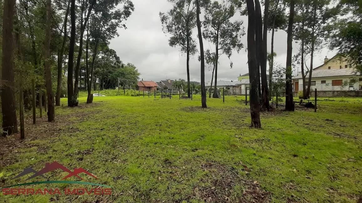 Foto 2 de Terreno / Lote à venda, 700m2 em Nova Petropolis - RS