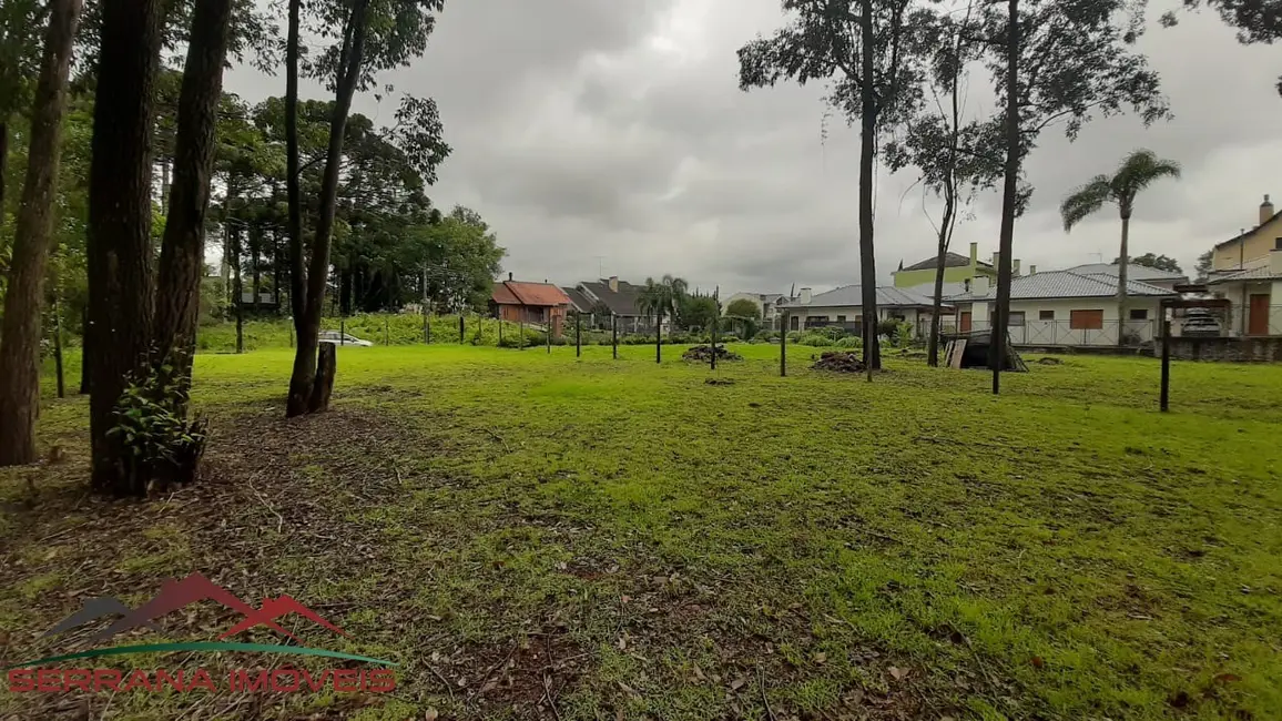 Terreno / Lote à venda, 700m2 em Nova Petropolis - RS - imagem 8 Foto 8 de Terreno / Lote à venda, 700m2 em Nova Petropolis - RS