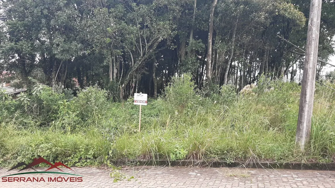 Terreno / Lote à venda, 519m2 em Nova Petropolis - RS - imagem 4 Foto 4 de Terreno / Lote à venda, 519m2 em Nova Petropolis - RS