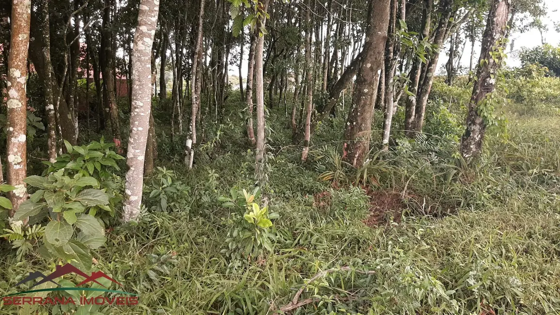 Terreno / Lote à venda, 519m2 em Nova Petropolis - RS - imagem 8 Foto 8 de Terreno / Lote à venda, 519m2 em Nova Petropolis - RS