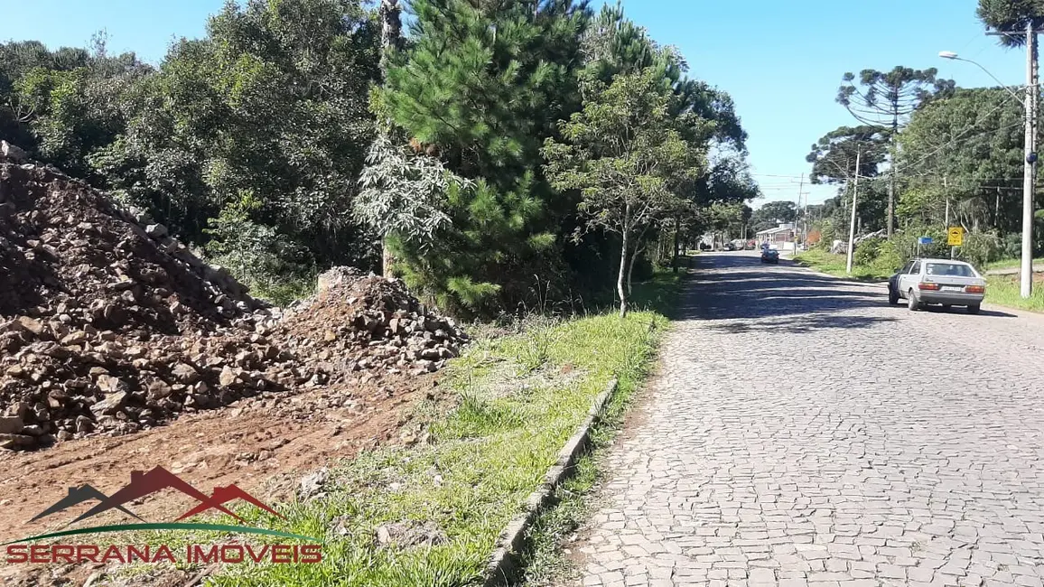 Terreno / Lote à venda, 810m2 em Nova Petropolis - RS - imagem 3 Foto 3 de Terreno / Lote à venda, 810m2 em Nova Petropolis - RS