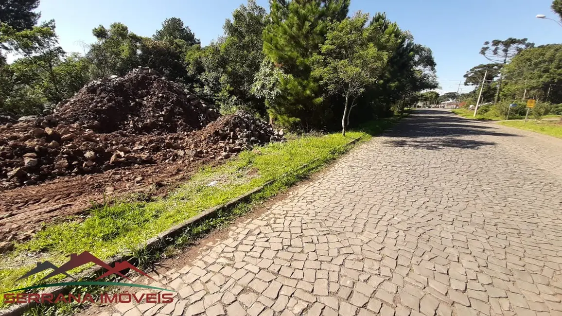 Terreno / Lote à venda, 810m2 em Nova Petropolis - RS - imagem 9 Foto 9 de Terreno / Lote à venda, 810m2 em Nova Petropolis - RS