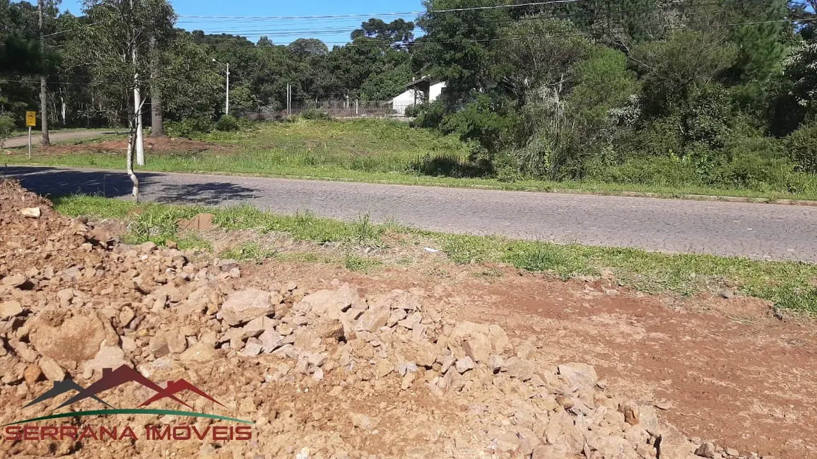 Terreno / Lote à venda, 810m2 em Nova Petropolis - RS - imagem 8 Foto 8 de Terreno / Lote à venda, 810m2 em Nova Petropolis - RS