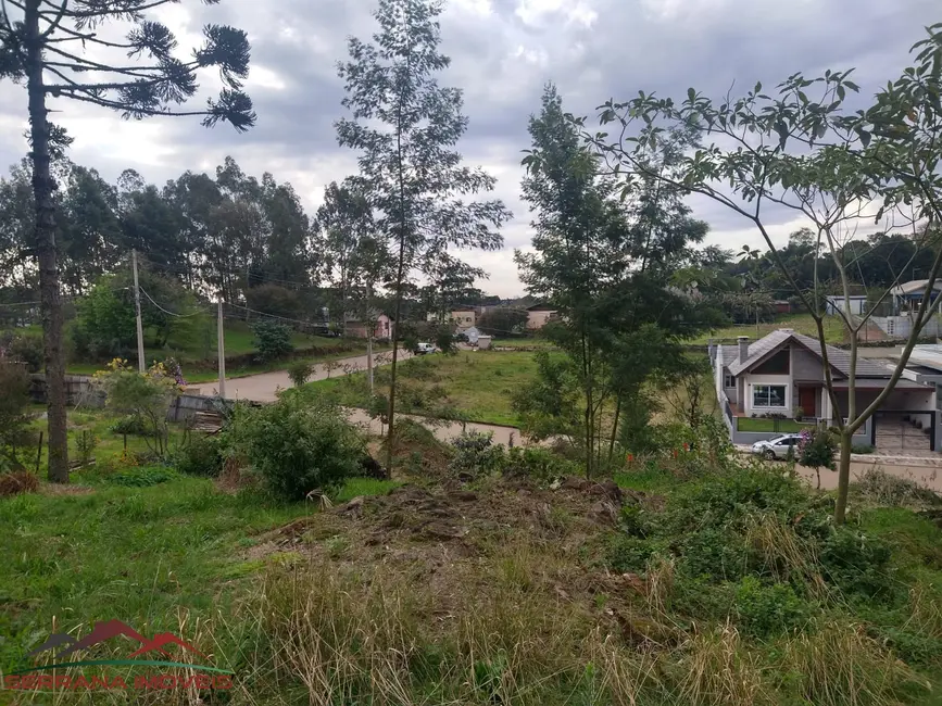 Terreno / Lote à venda, 555m2 em Nova Petropolis - RS - imagem 3 Foto 3 de Terreno / Lote à venda, 555m2 em Nova Petropolis - RS
