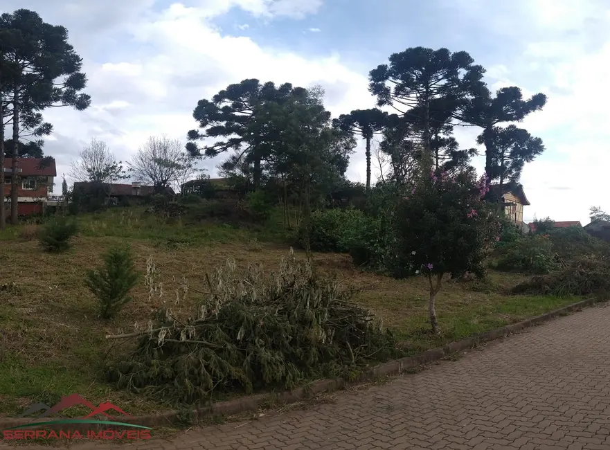 Terreno / Lote à venda, 555m2 em Nova Petropolis - RS - imagem 5 Foto 5 de Terreno / Lote à venda, 555m2 em Nova Petropolis - RS
