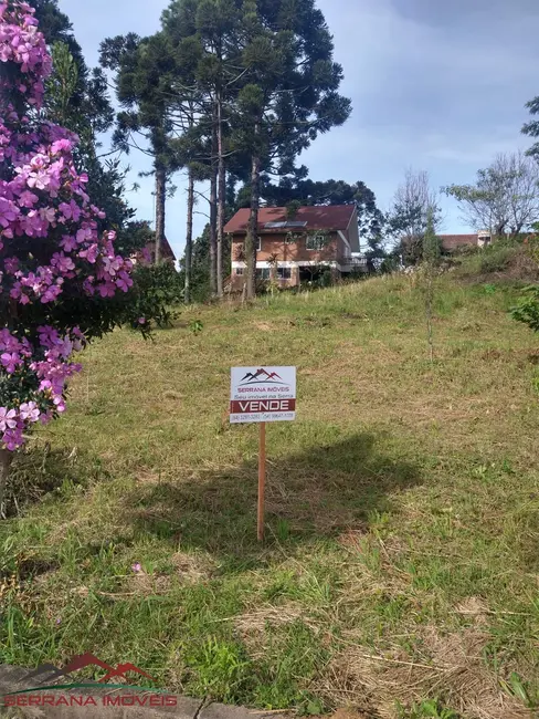 Terreno / Lote à venda, 555m2 em Nova Petropolis - RS - imagem 1 Foto 1 de Terreno / Lote à venda, 555m2 em Nova Petropolis - RS