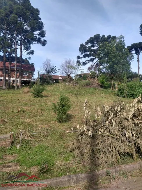 Terreno / Lote à venda, 555m2 em Nova Petropolis - RS - imagem 7 Foto 7 de Terreno / Lote à venda, 555m2 em Nova Petropolis - RS